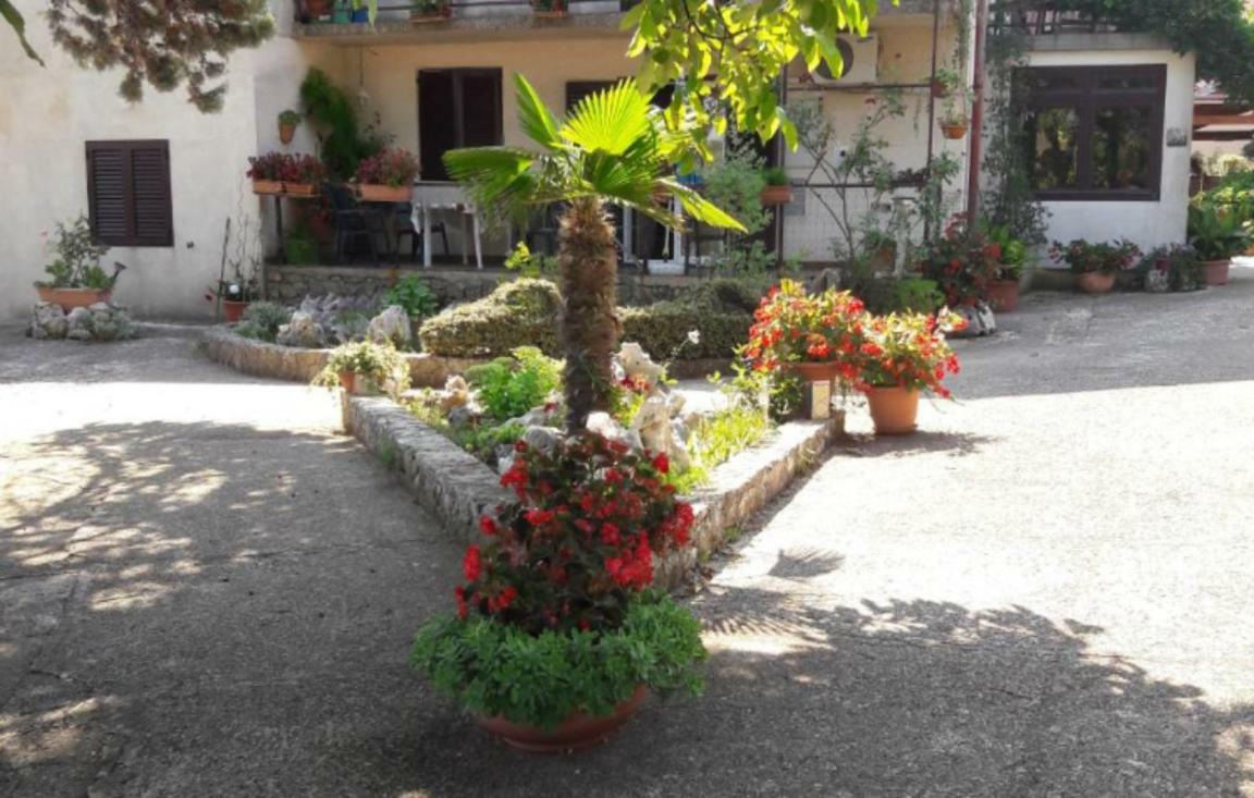 Apartments Nadia Sokolic نيغيزيني المظهر الخارجي الصورة
